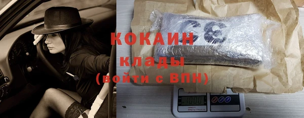 стафф Аркадак