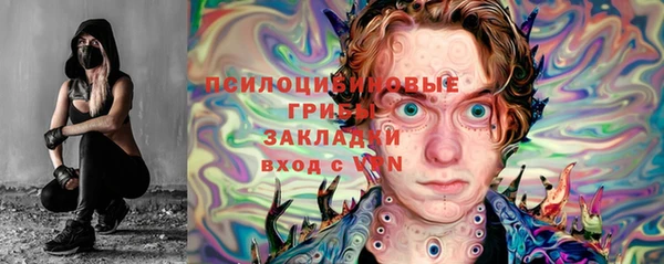 стафф Аркадак