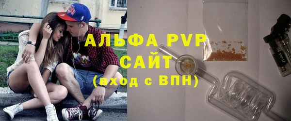 стафф Аркадак