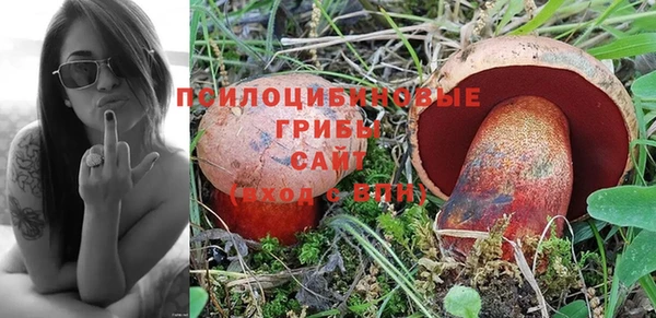 стафф Аркадак