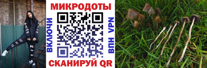 Псилоцибиновые грибы Psilocybine cubensis  купить наркоту  Верещагино 